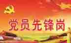党年度总结报告8篇
