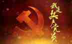 2023党日活动个人总结优质5篇