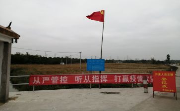 党员工作总结个人总结通用6篇