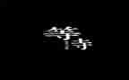 我在等待作文优质5篇
