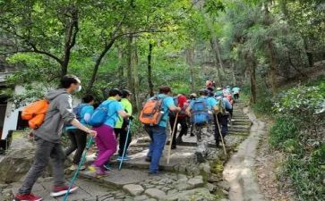 重阳节登高作文7篇