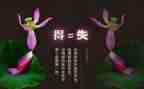 个人总结初中生得与失7篇
