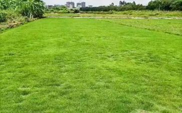 房地产2024年个人年终工作总结通用7篇
