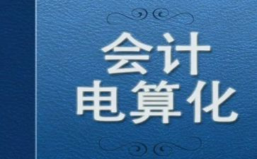 做会计电算化的心得体会8篇