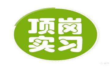 通用顶岗实习个人总结通用6篇