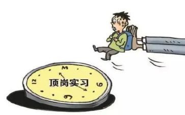 通用顶岗实习个人总结6篇