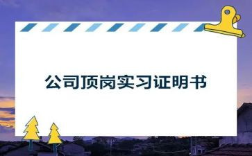 学生顶岗个人总结7篇