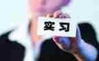 通用顶岗实习个人总结7篇
