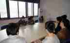 顶岗支教心得7篇