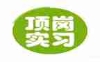 通用顶岗实习个人总结通用6篇