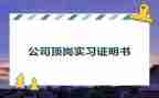 学生顶岗个人总结7篇