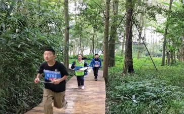 定向越野活动策划5篇