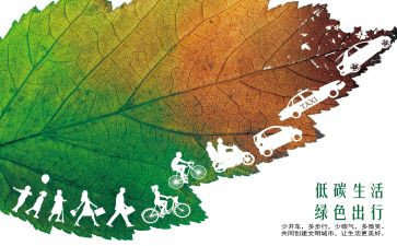 节能和低碳活动总结模板6篇