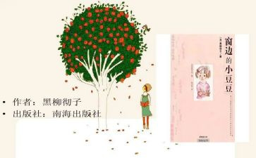 小豆豆书的读后感优秀6篇