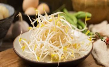 豆芽生长作文推荐5篇