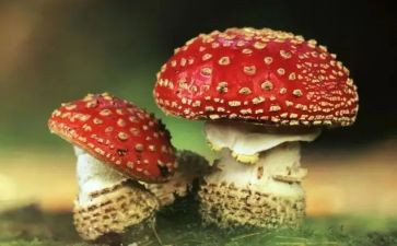 禁毒心得感悟300推荐8篇