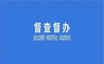 督查员的个人总结6篇