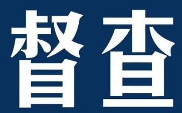 督察队个人总结6篇
