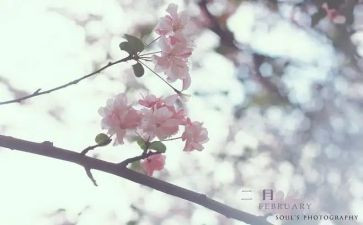 二月份个人总结5篇