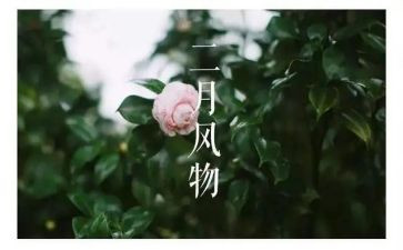 大班十二月工作计划7篇