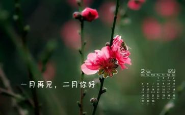 十二月份教育心得5篇
