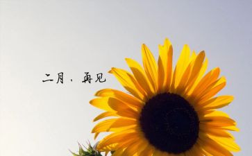 2024小班十二月份工作总结6篇