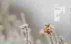 工作第二月总结优秀6篇