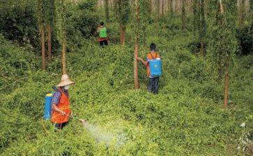 糖尿病防治知识培训总结6篇
