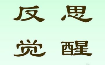 2023个人总结反思优秀5篇