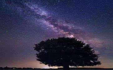 繁星,春水读后感优秀5篇