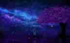 繁星读后感400字6篇