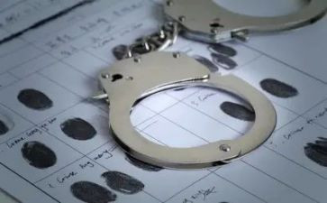 职务犯罪警示教育片心得8篇