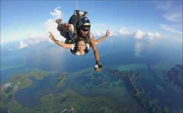 飞翔的猫读后感5篇