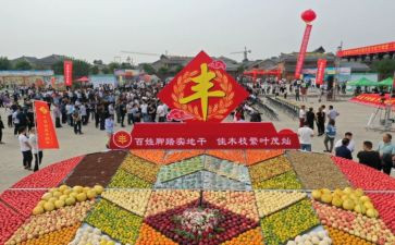 2024农民丰收节活动总结6篇