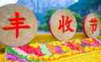 庆祝丰收节活动总结5篇