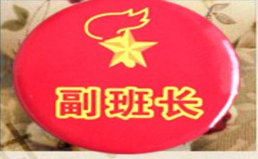 副班长半年总结优秀7篇