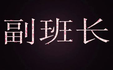 大学副班长个人工作总结6篇
