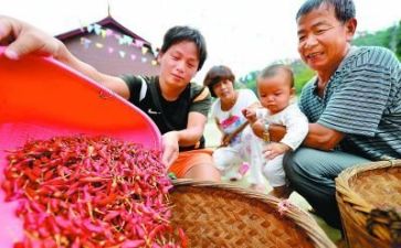 个人扶贫月工作总结模板5篇
