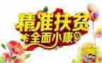 省扶贫工作总结个人8篇