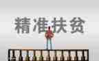 扶贫个人年终总结5篇
