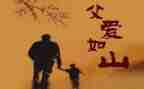 父亲的城的读后感参考5篇