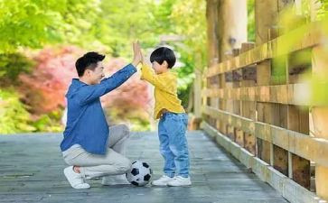 父与子读后感800字参考5篇