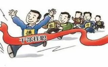 副职的述职述廉报告6篇