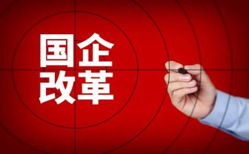 改革心得体会参考6篇