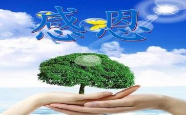 感恩的信活动总结推荐6篇