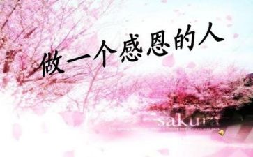感恩公司心得体会5篇