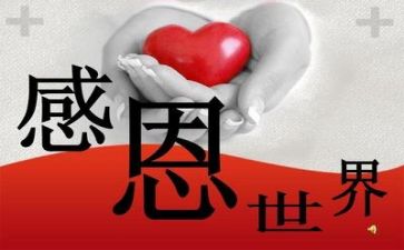 感恩会活动方案最新5篇