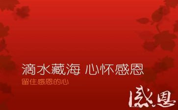 感恩挫折作文推荐6篇