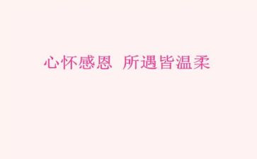 感恩教师的活动方案7篇