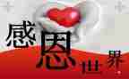 我最想感恩的人作文7篇